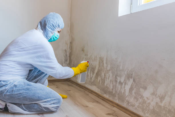Crawl Space Mold Remediation treatment of floor joists in Lexington
